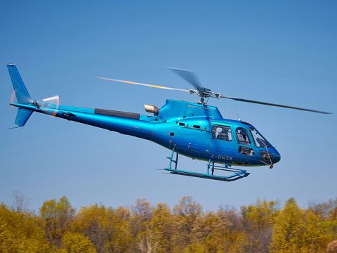 Ascent Helicopters has a growing fleet of H125s Ascent Helicopters has a growing fleet of H125s