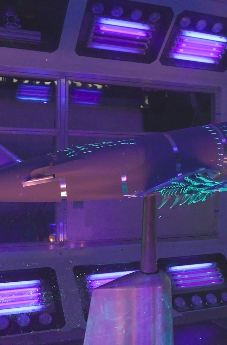 eXtra Performance Wing demonstrator - X-wing wind tunnel eXtra Performance Wing demonstrator - X-wing wind tunnel