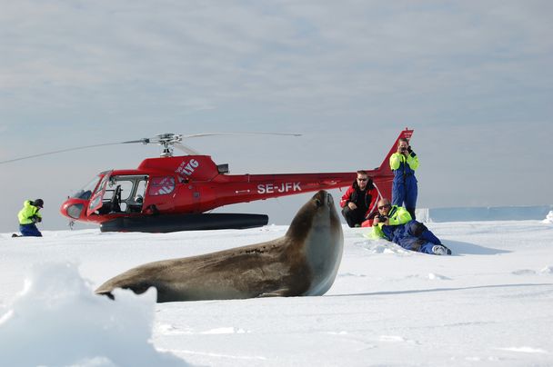 a92cd10ed26d31f8b469e59852786d22_A-H125-in-front-of-Antarctic-seals