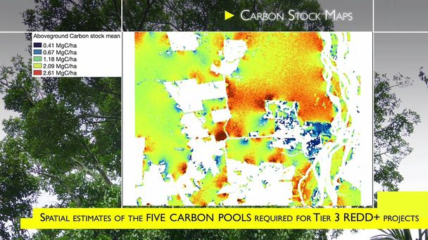 13219f2998622c24650b445583fa2e4f_reforestation-gallery-4