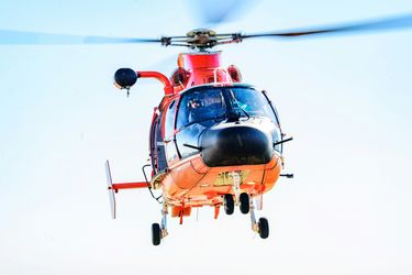 US Coast Guard Dolphin US Coast Guard Dolphin