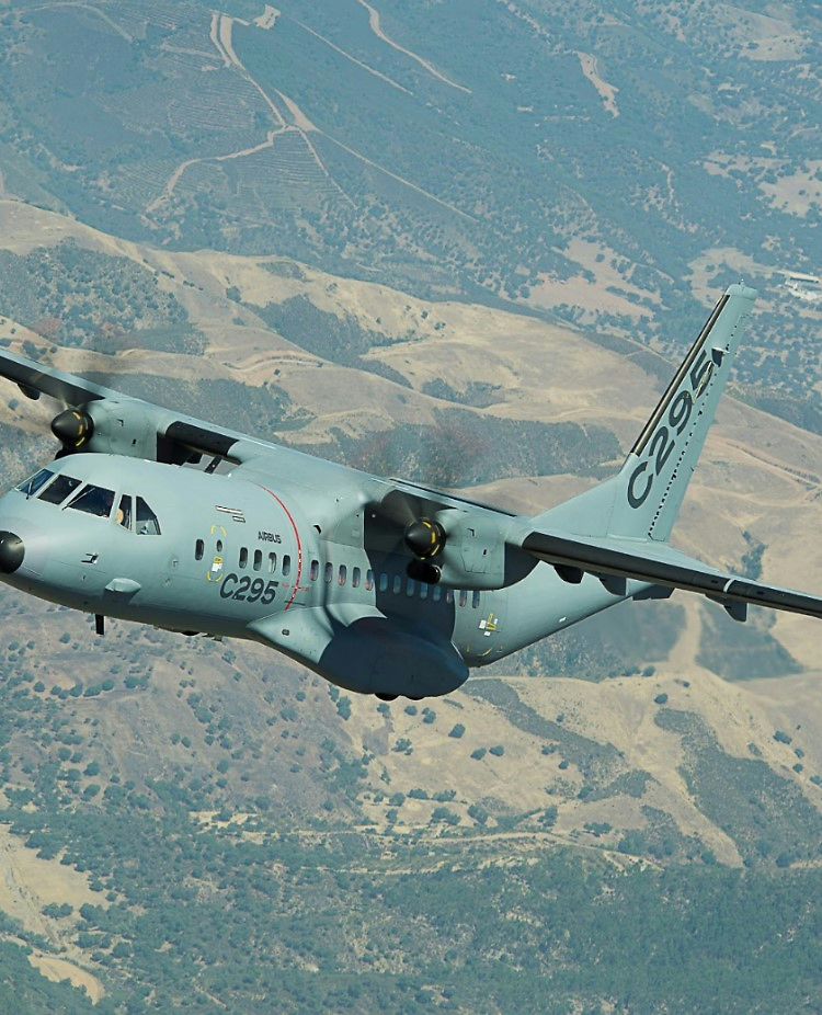 C295 C295