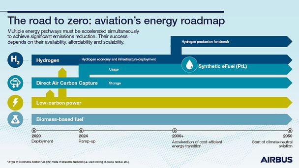 Energy Roadmap Infographic