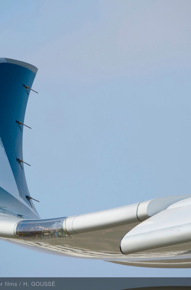 A350-900 Cathay Pacific MSN029 - wing close up A350-900 Cathay Pacific MSN029 - wing close up