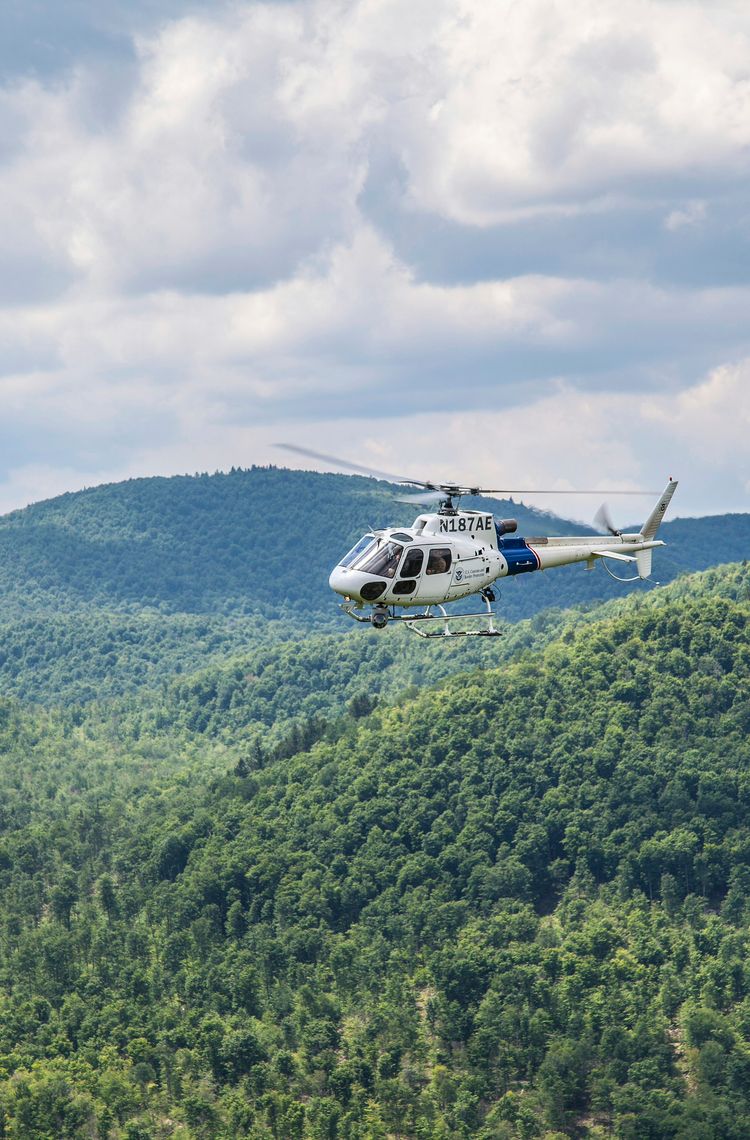 CBH's H125 in operation CBH's H125 in operation