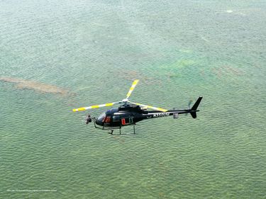 H125 University Of Miami HOP H125 University Of Miami HOP