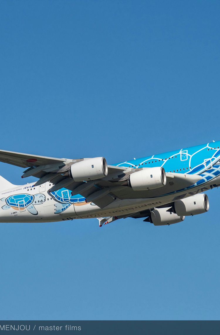 A380 ANA All Nippon Airways lying Honu A380 ANA All Nippon Airways lying Honu