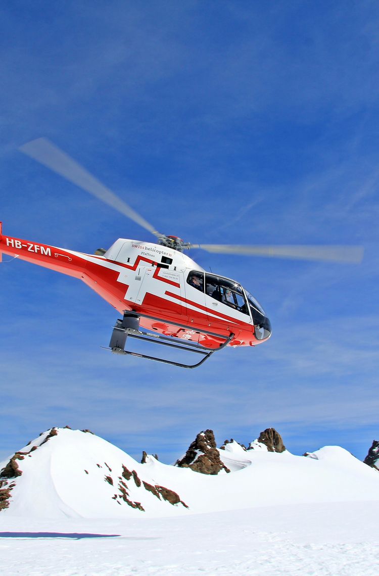 SH_Colibri_01 SH_Colibri_01