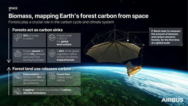 Infographic Biomass carbon cycle Infographic Biomass carbon cycle