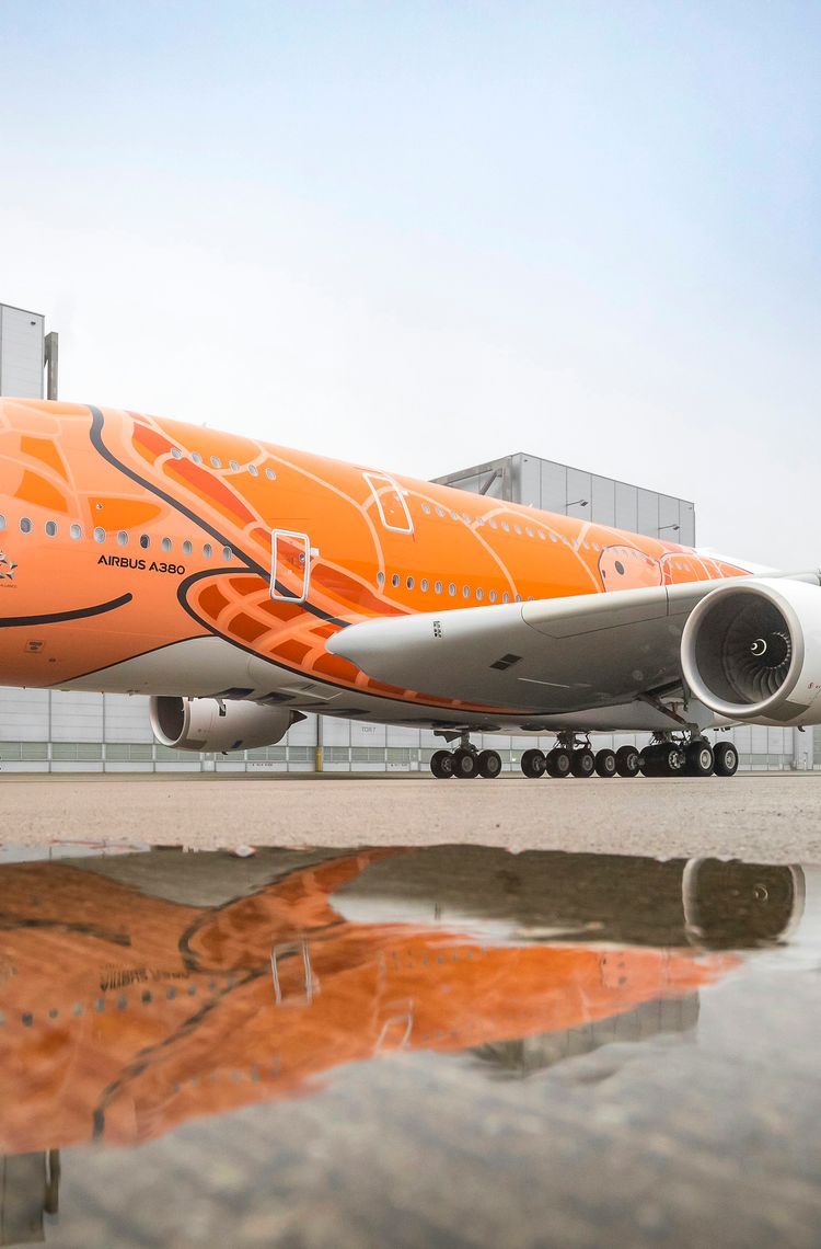 Delivery of A380 with red turtles to ANA Delivery of A380 with red turtles to ANA