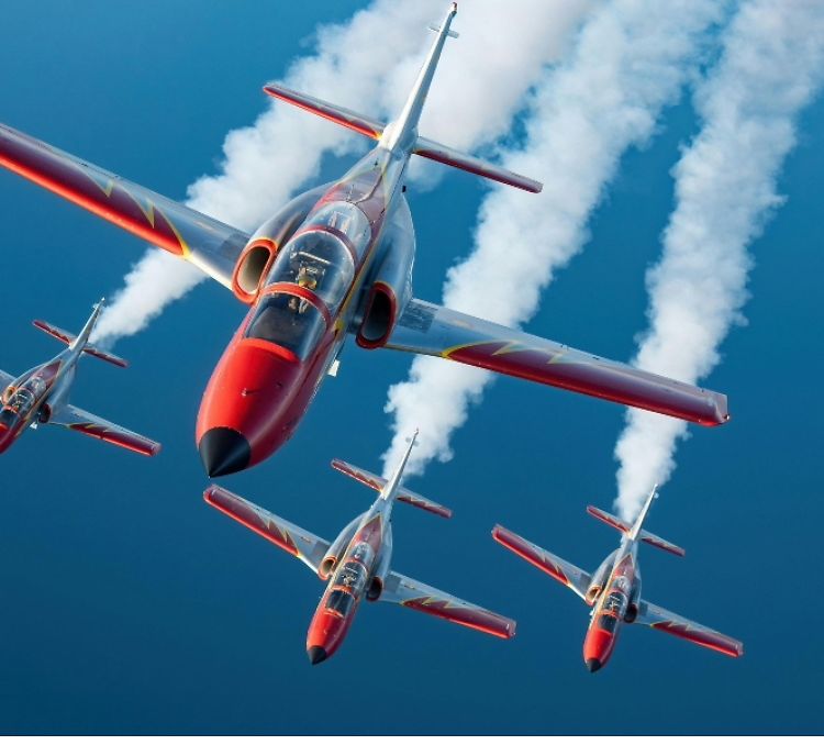Patrulla Aguila 05 Patrulla Aguila 05