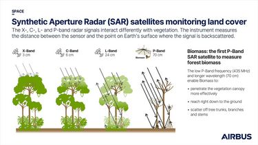 Infographic Biomass-SAR wavelengths explanation Infographic Biomass-SAR wavelengths explanation