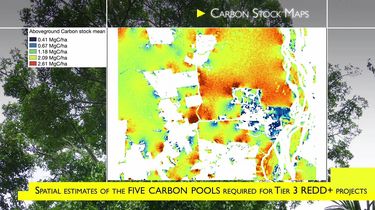 13219f2998622c24650b445583fa2e4f_reforestation-gallery-4 13219f2998622c24650b445583fa2e4f_reforestation-gallery-4