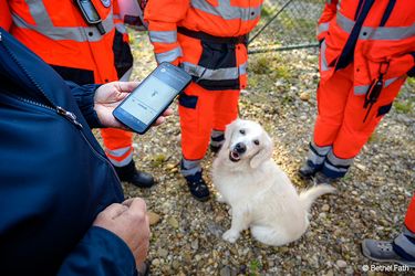 Rescue dog teams testing the use of broadband as part of a research project evaluating digital radio communication and ways to cover dead spots in the German countryside. Rescue dog teams testing the use of broadband as part of a research project evaluating digital radio communication and ways to cover dead spots in the German countryside.