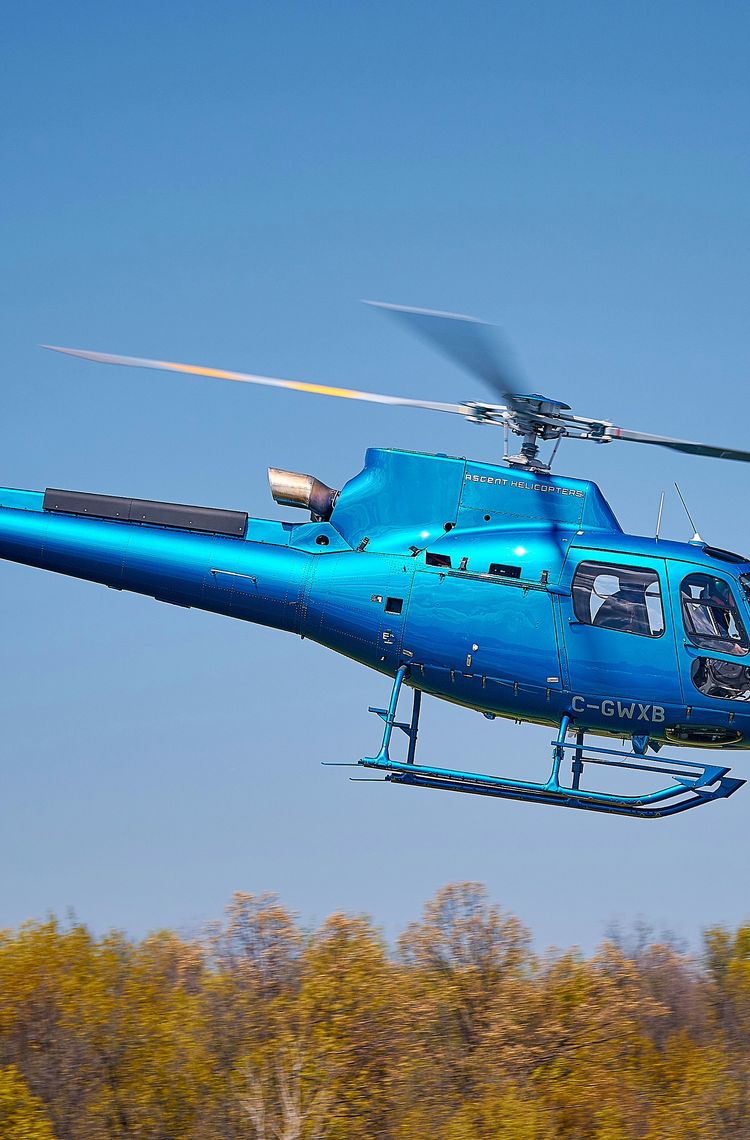Ascent Helicopters has a growing fleet of H125s Ascent Helicopters has a growing fleet of H125s