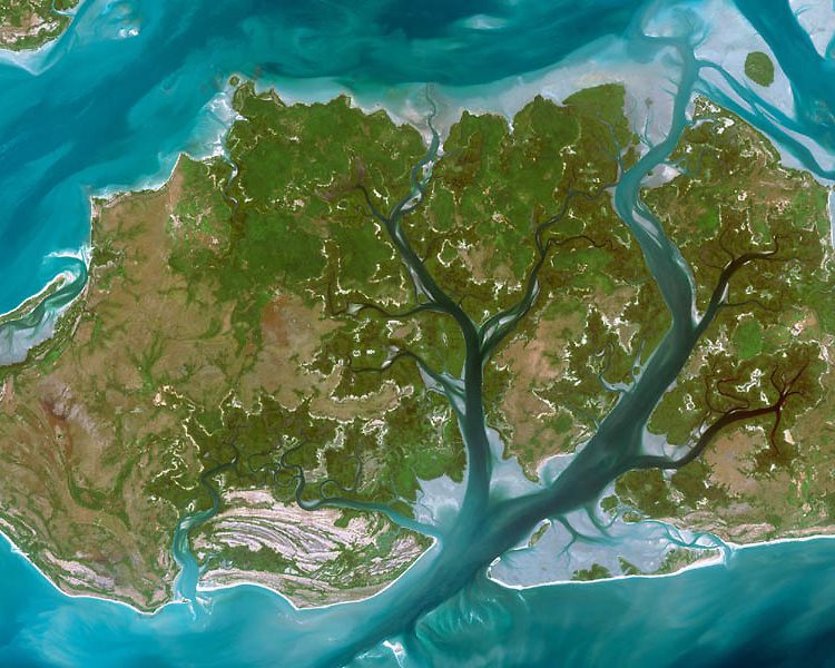 Bissagos Guinea Bissau - by satellite Spot6  Bissagos Guinea Bissau - by satellite Spot6