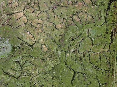 7e2a69c10eb58256492ed4feeb1324cc_reforestation-satellite-Central-African-Republic 7e2a69c10eb58256492ed4feeb1324cc_reforestation-satellite-Central-African-Republic
