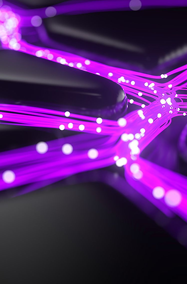 1257762114 1257762114