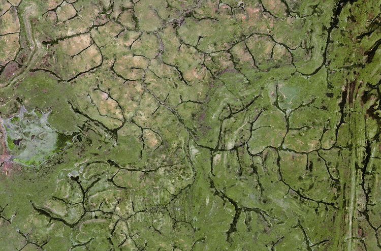 7e2a69c10eb58256492ed4feeb1324cc_reforestation-satellite-Central-African-Republic 7e2a69c10eb58256492ed4feeb1324cc_reforestation-satellite-Central-African-Republic