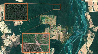 3e12cba875827ef0de0cd68d1879322b_reforestation-satellite-Brazil 3e12cba875827ef0de0cd68d1879322b_reforestation-satellite-Brazil