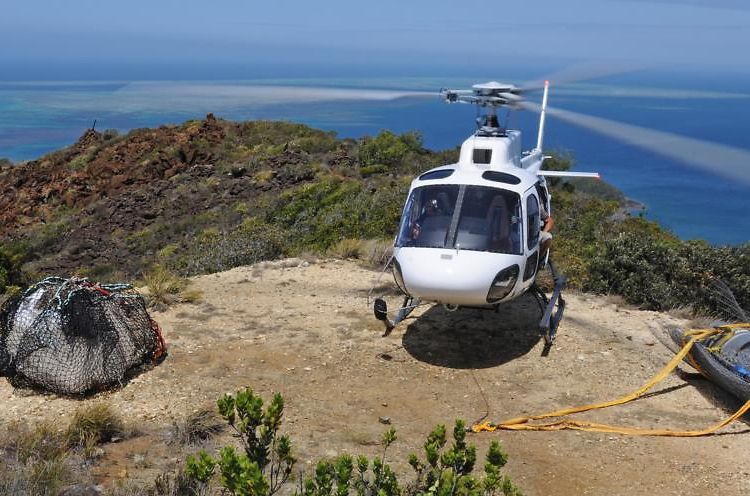 HELICAL’s H125 for utility operations HELICAL’s H125 for utility operations