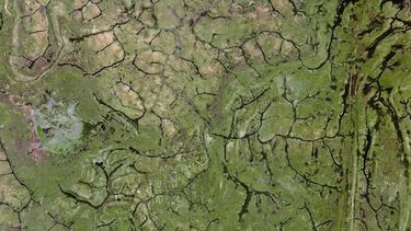 7e2a69c10eb58256492ed4feeb1324cc_reforestation-satellite-Central-African-Republic 7e2a69c10eb58256492ed4feeb1324cc_reforestation-satellite-Central-African-Republic