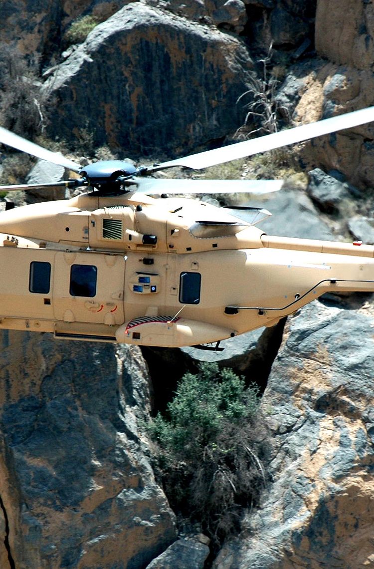 DIGIT-02833_Copyright DR_Airbus Helicopters DIGIT-02833_Copyright DR_Airbus Helicopters