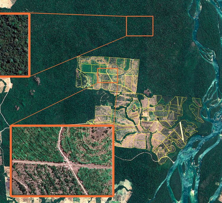 3e12cba875827ef0de0cd68d1879322b_reforestation-satellite-Brazil 3e12cba875827ef0de0cd68d1879322b_reforestation-satellite-Brazil