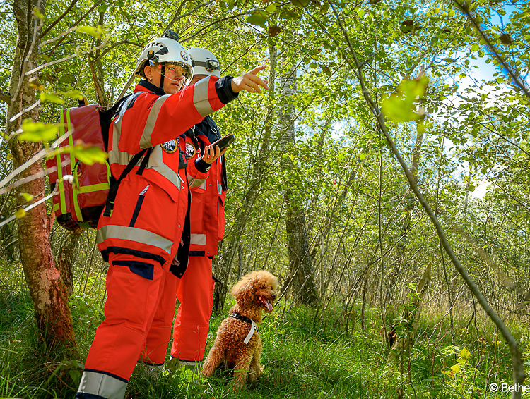 The rescue dogs search huge areas in the Bavarian forest where mobile phone service is not always available. The rescue dogs search huge areas in the Bavarian forest where mobile phone service is not always available.