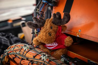 Plush moose aboard the H175 Plush moose aboard the H175