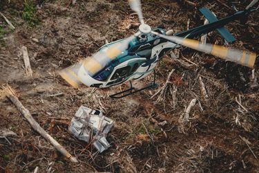 H125 in use for reforestation in Canada H125 in use for reforestation in Canada